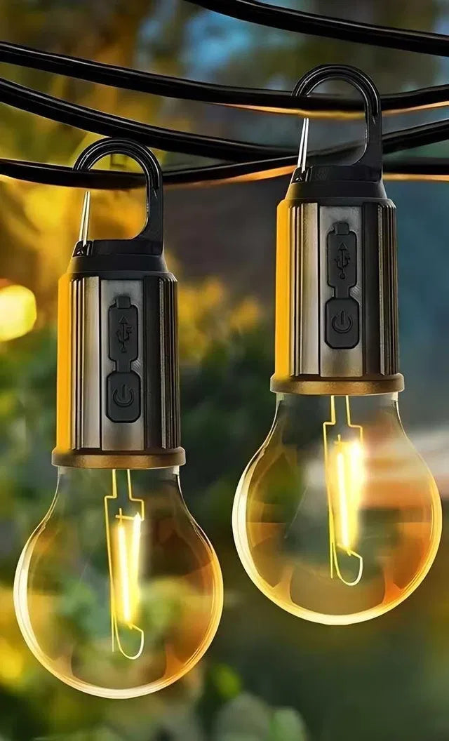 Electric items